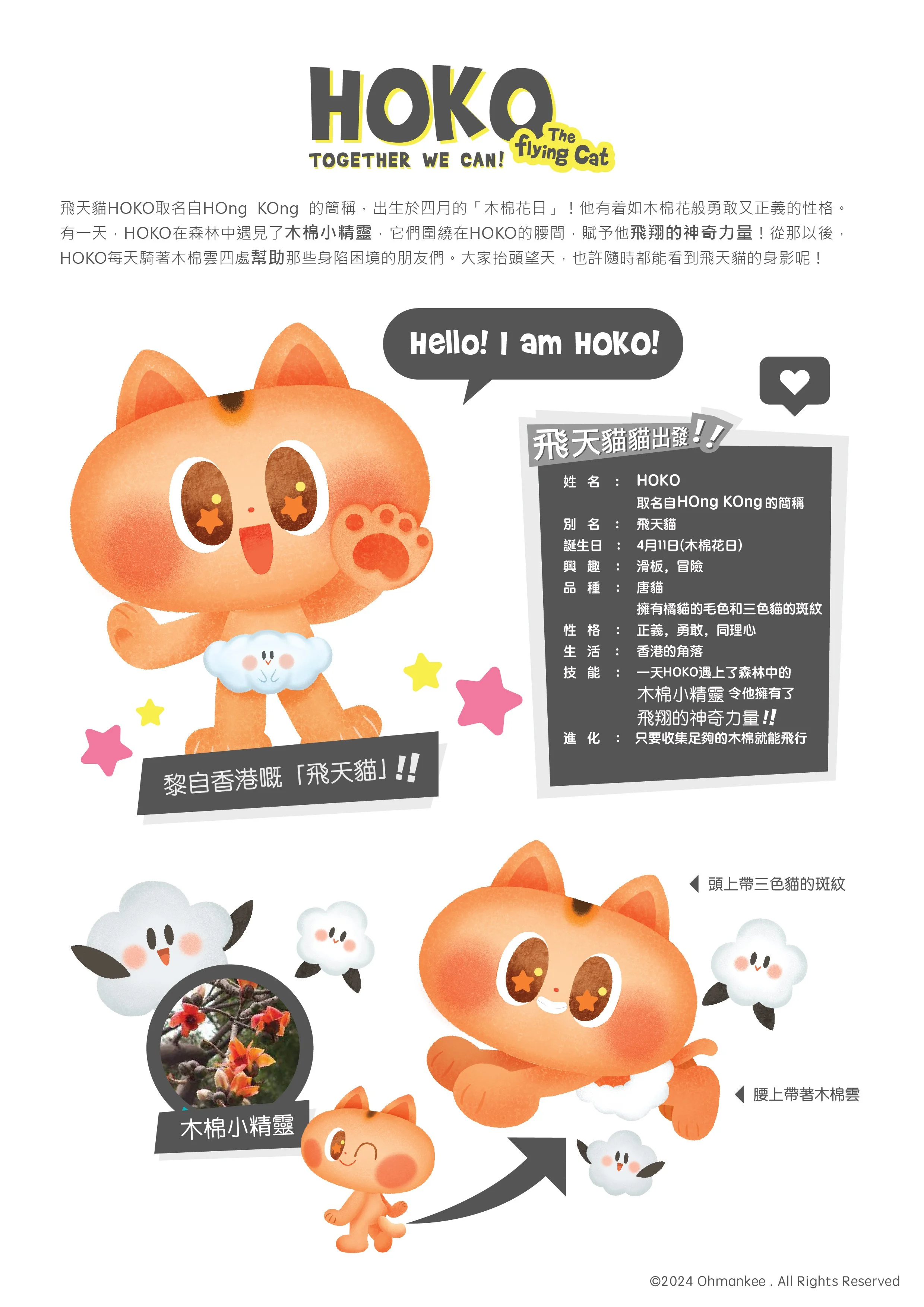 The Flying Cat HoKo